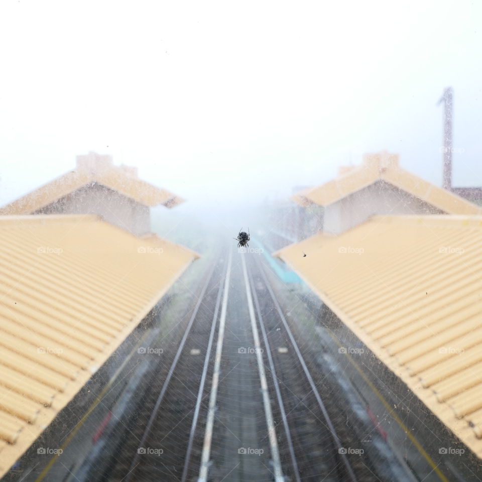 A small spider hanging from a web, a train station lost in fog in the background.