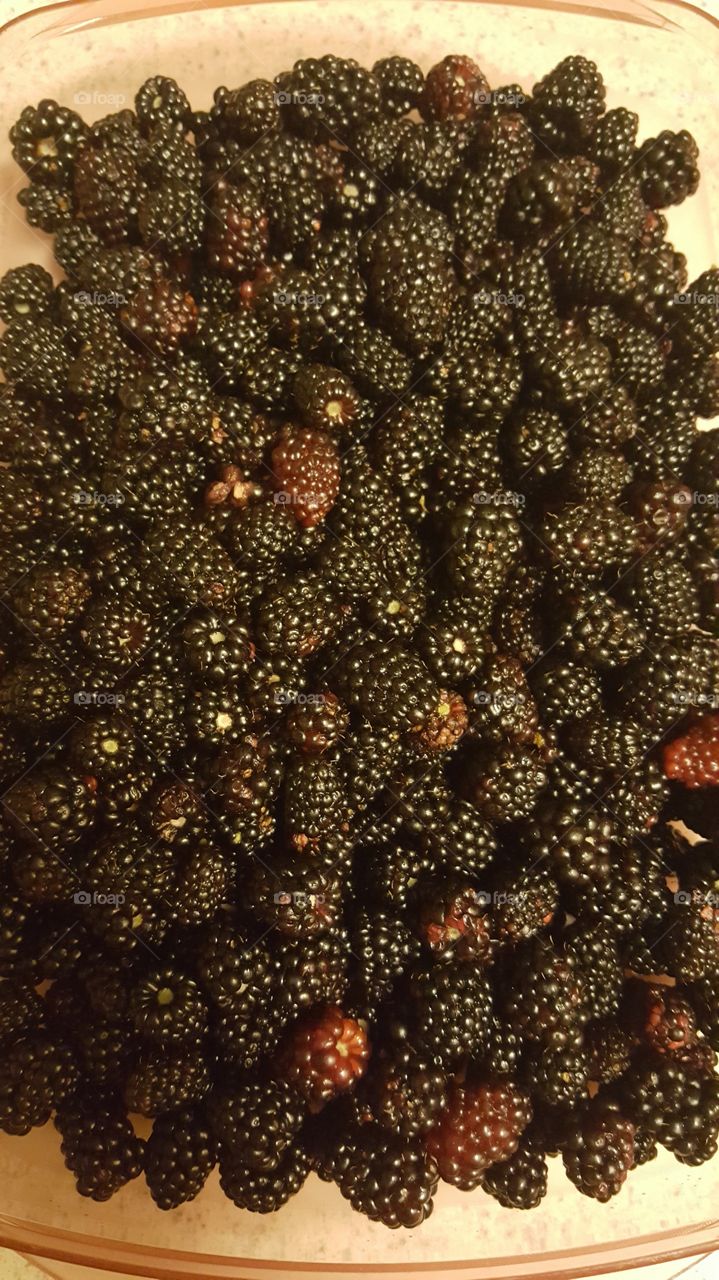 berries