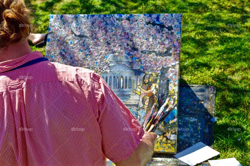 Painter in Washington DC painting cherry blossoms