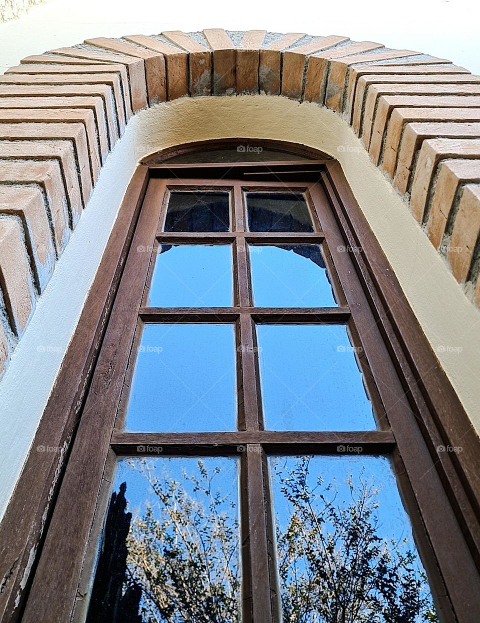 From the ground up: Wooden window with glass reflecting the sky and plants.