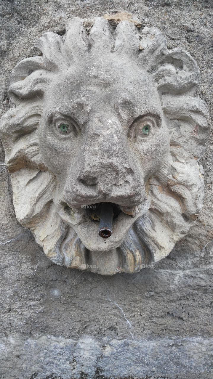 rock lion fountain water