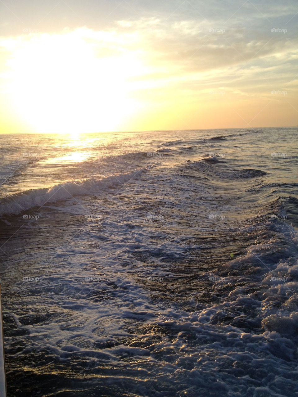 Water is the essence of life