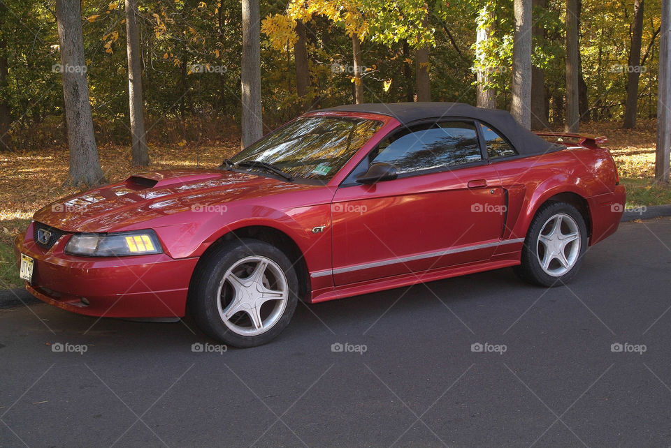 2002 Ford mustang GT