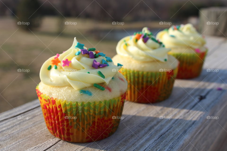 Sunlight on vanilla cupcakes