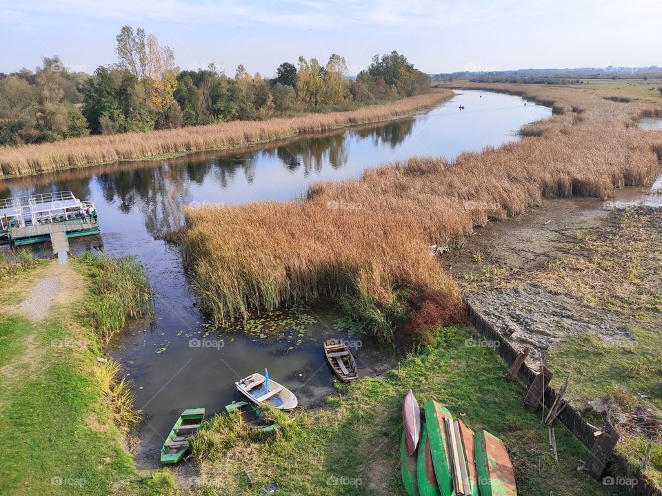 Zasavica Nature Wildlife Reserve Sremska Mitrovica canal with reed
