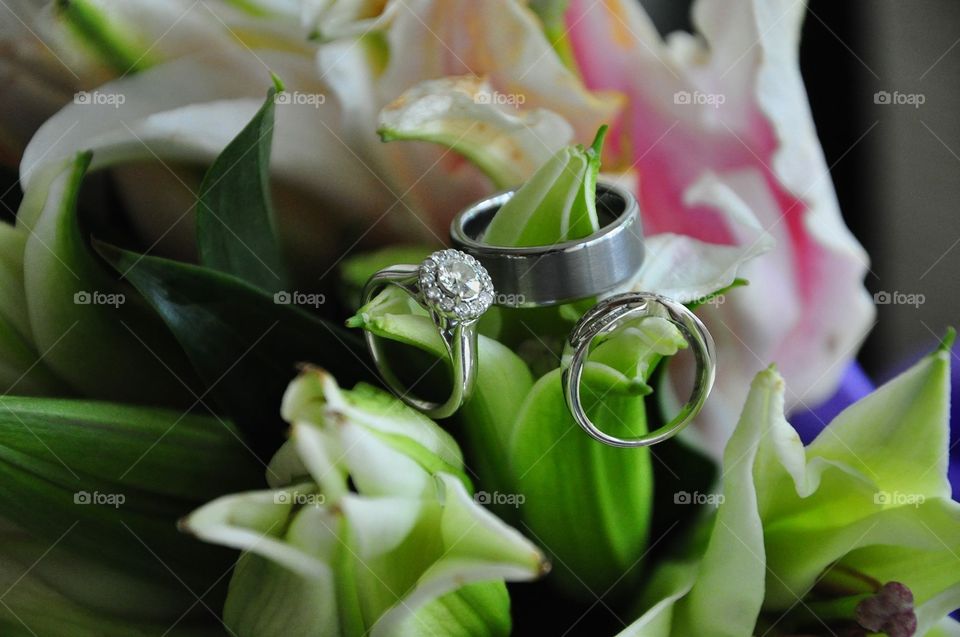 Wedding bands . Our dream wedding in paradise 