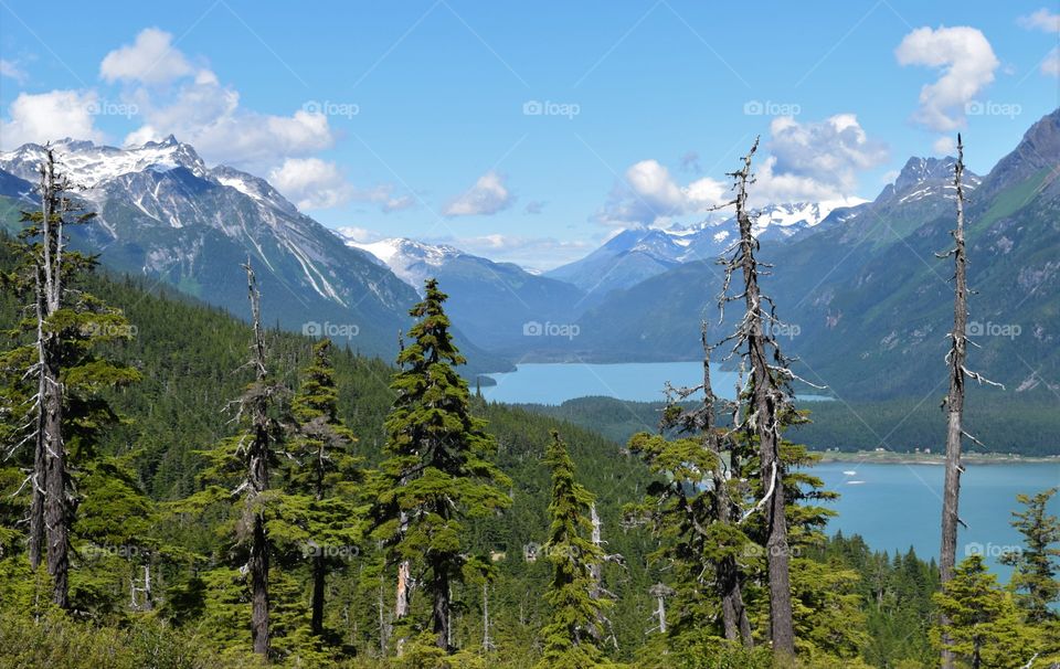 Breathtaking view from the top of the mountain above Haines Alaska