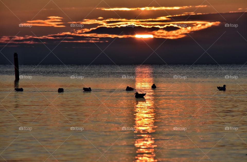 Sunset, Water, Dawn, Reflection, Beach