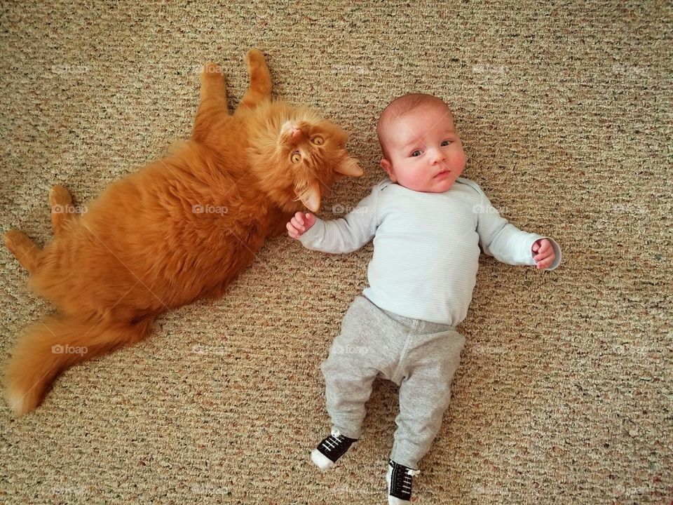 Cute little baby on floor with orange cat