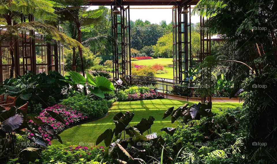 Urban garden