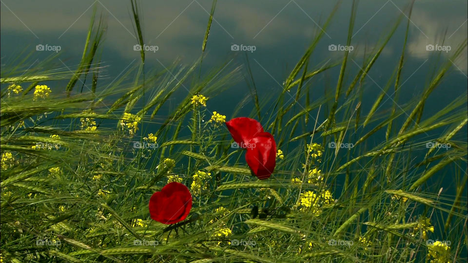 I colori del Marocco