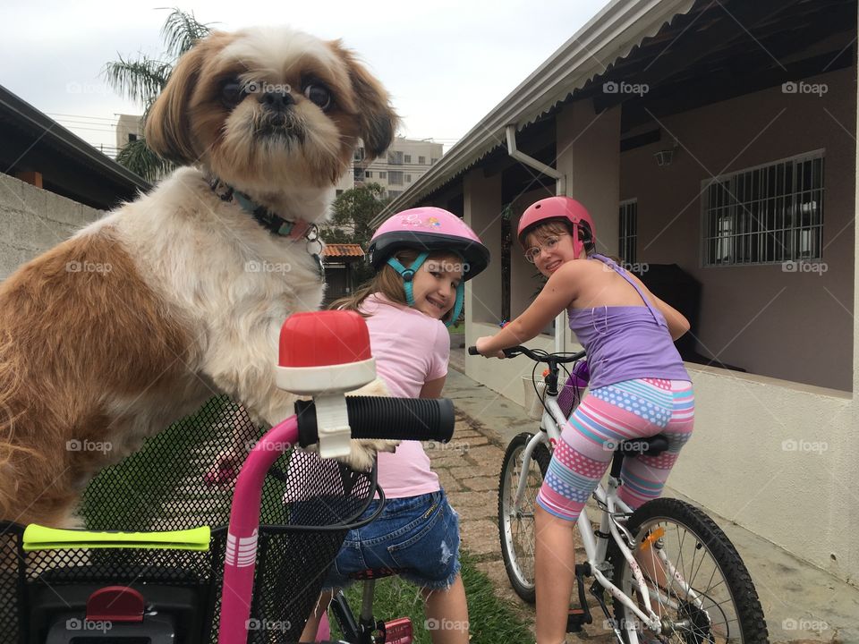 FUN! At home, everything becomes a joke!  How about riding a bike in the yard next to our puppy? Em casa, tudo se torna brincadeira! Que tal passear de bicicleta no quintal junto da nossa cachorrinha?