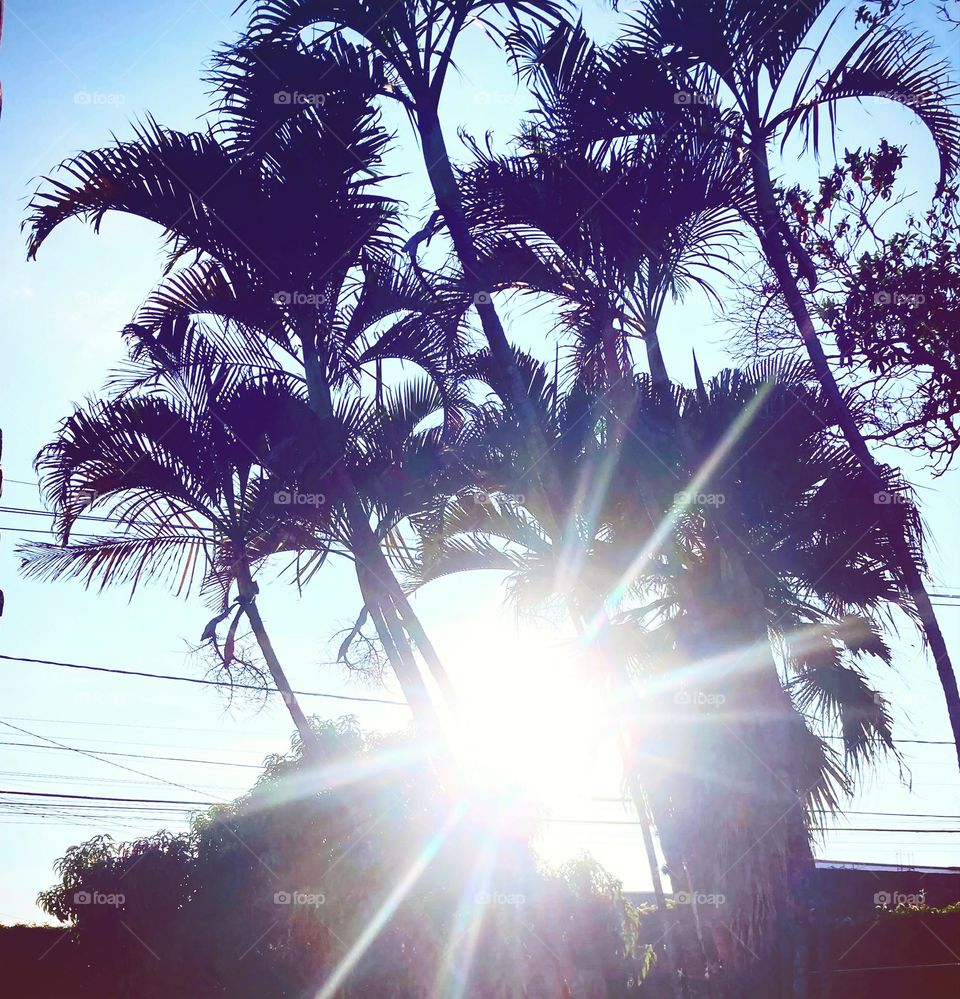 🌄🇺🇸 An extremely beautiful dawn in Jundiaí, interior of Brazil. Cheer the nature! / 🇧🇷 Um amanhecer extremamente bonito em Jundiaí, interior do Brasil. Viva a natureza! 