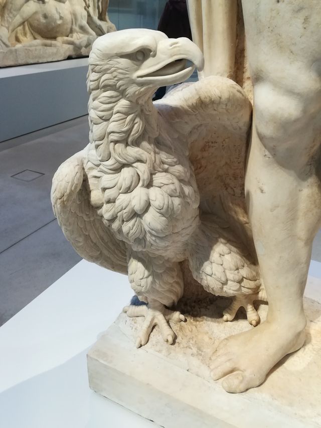 Águila