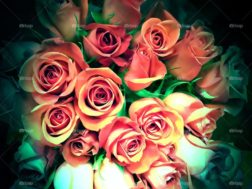 Roses
