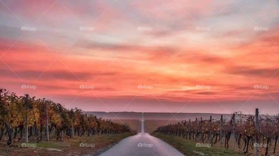 Beli Manastie the road and the road