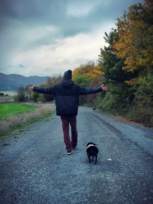 life with pets