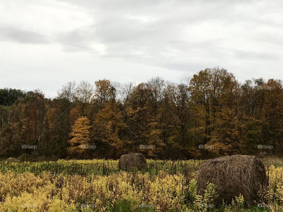 Late fall round bales