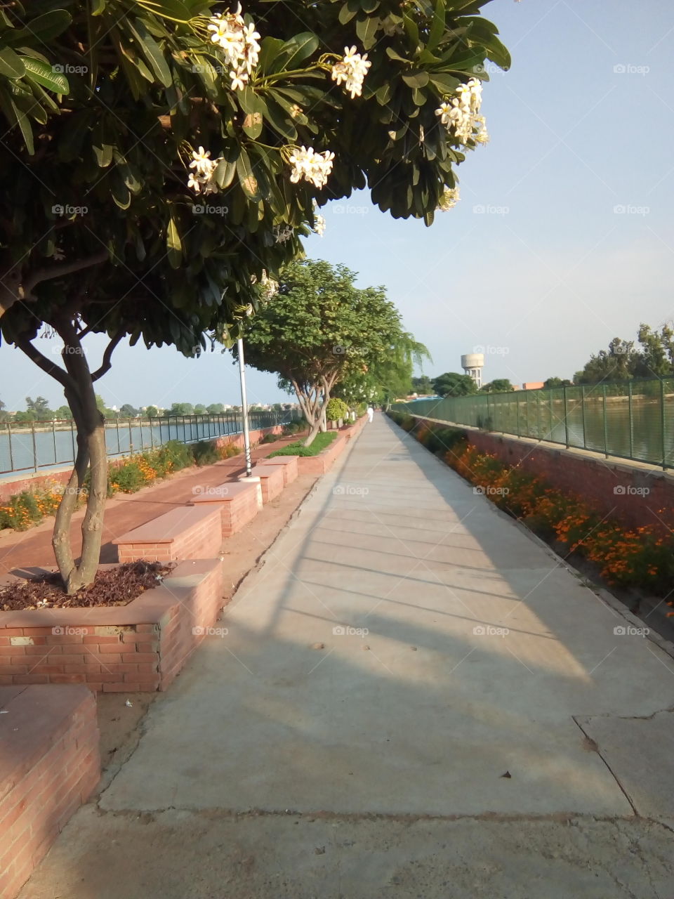 beautiful sight in a garden