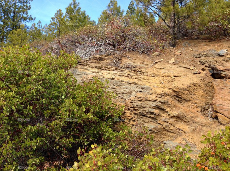 Rough layers of beautiful reddish brown rock and manzanita bushes on a hillside in Central Oregon on a sunny day. 