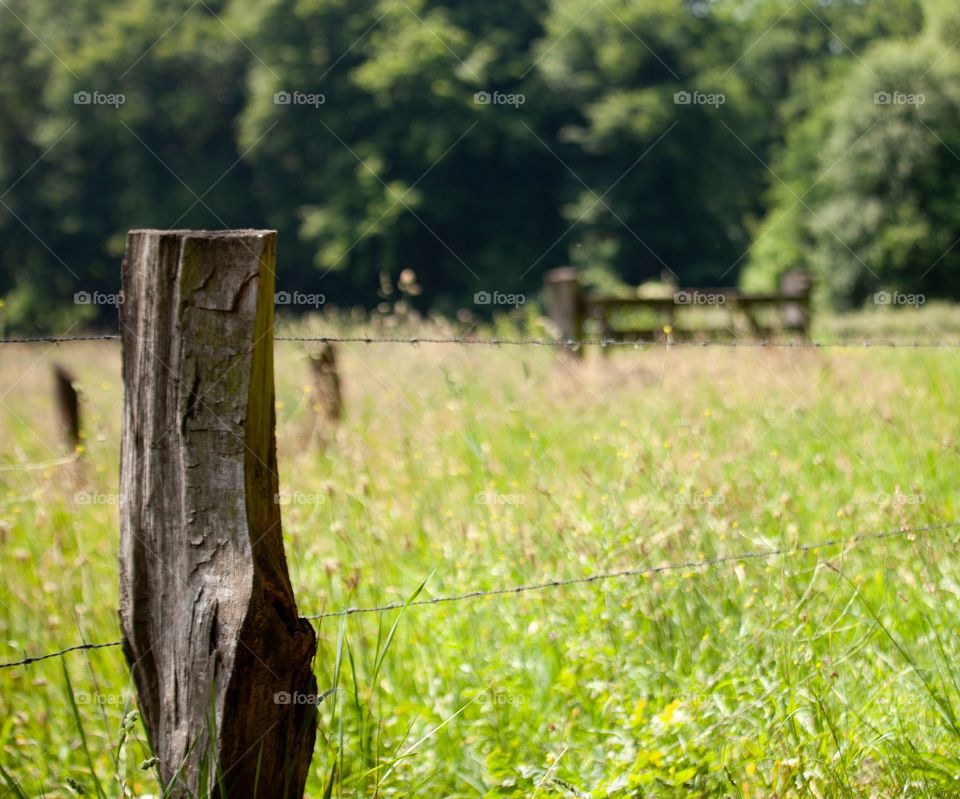 Pole and fence in the fields