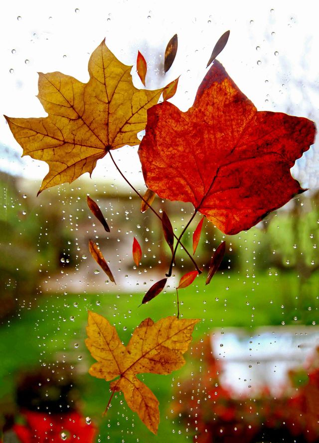 Rainy day