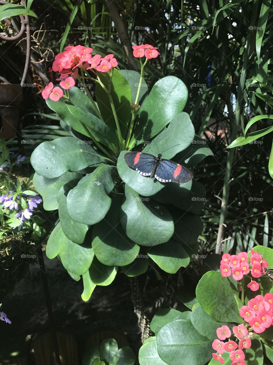 Do you mind? You’re blocking my sunlight 