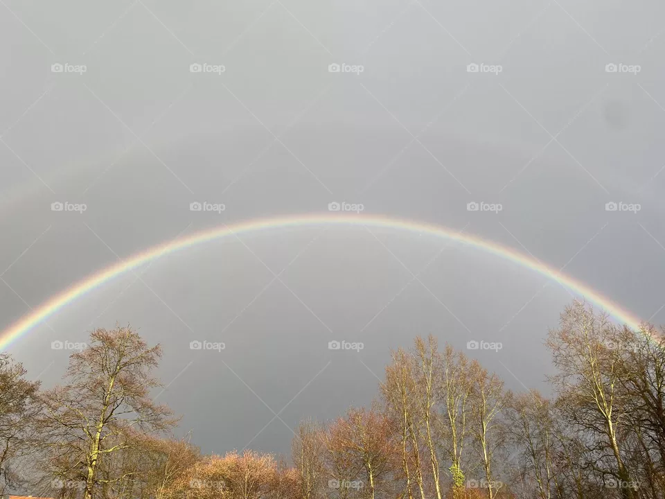 Rainbow