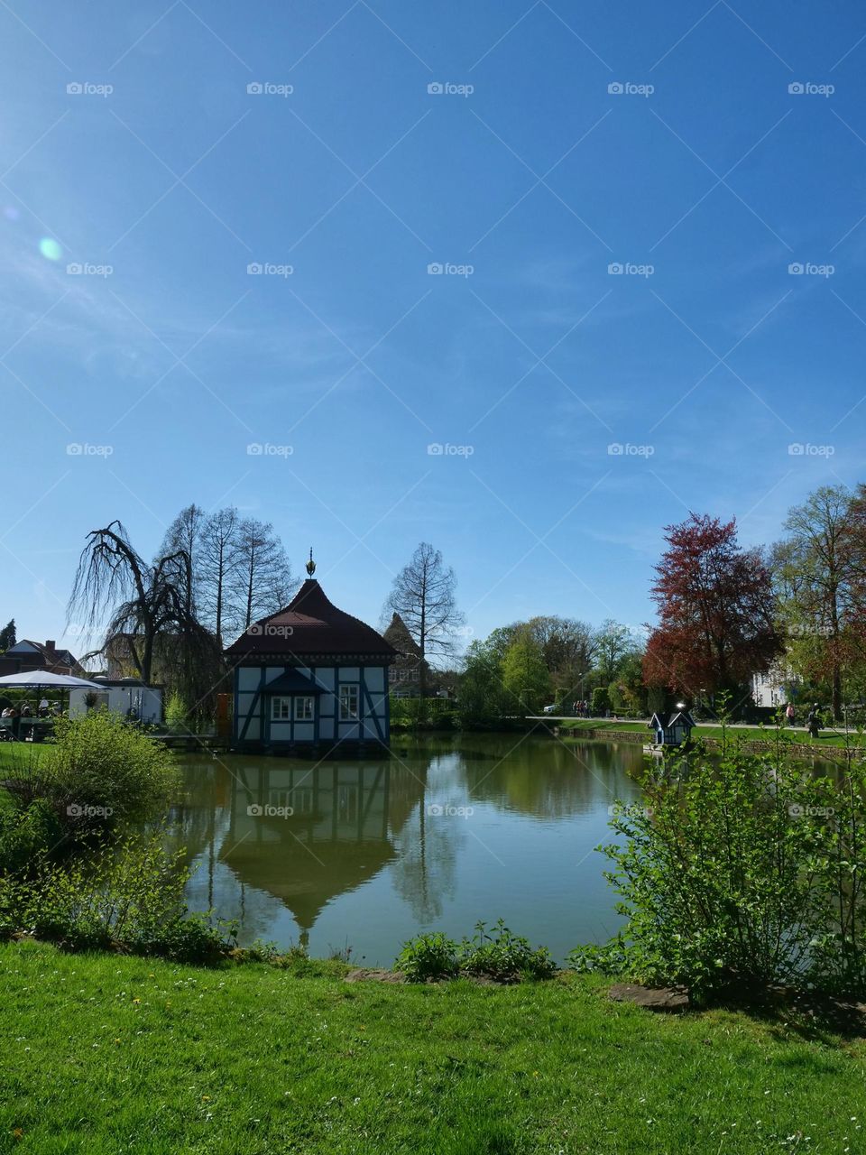 Pond in city park