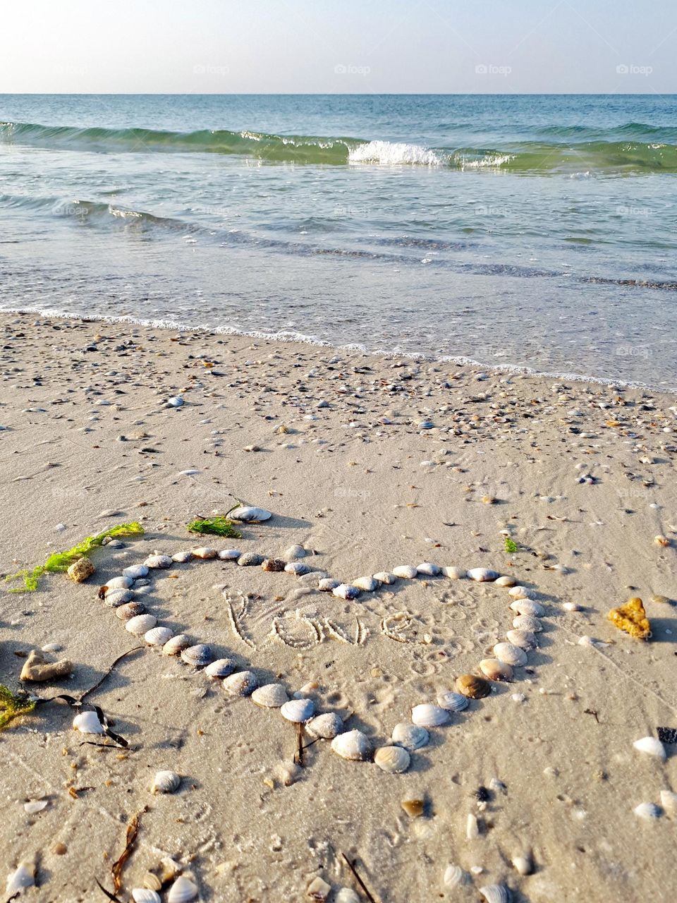 Shells in heart shape on the sandy beach