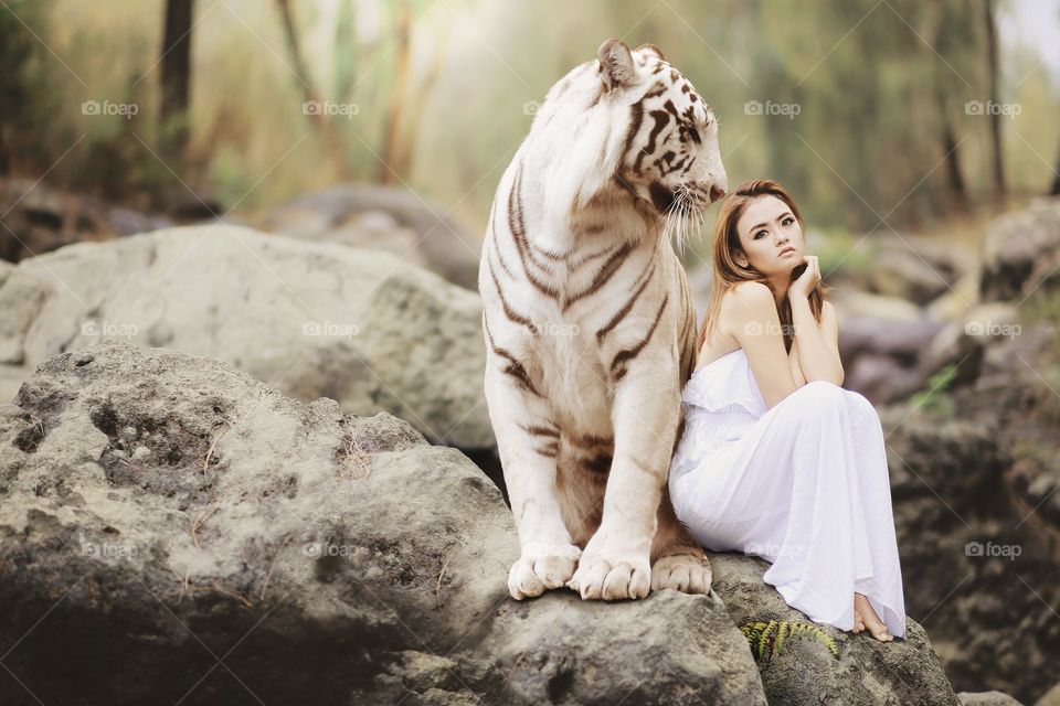 Tiger white 