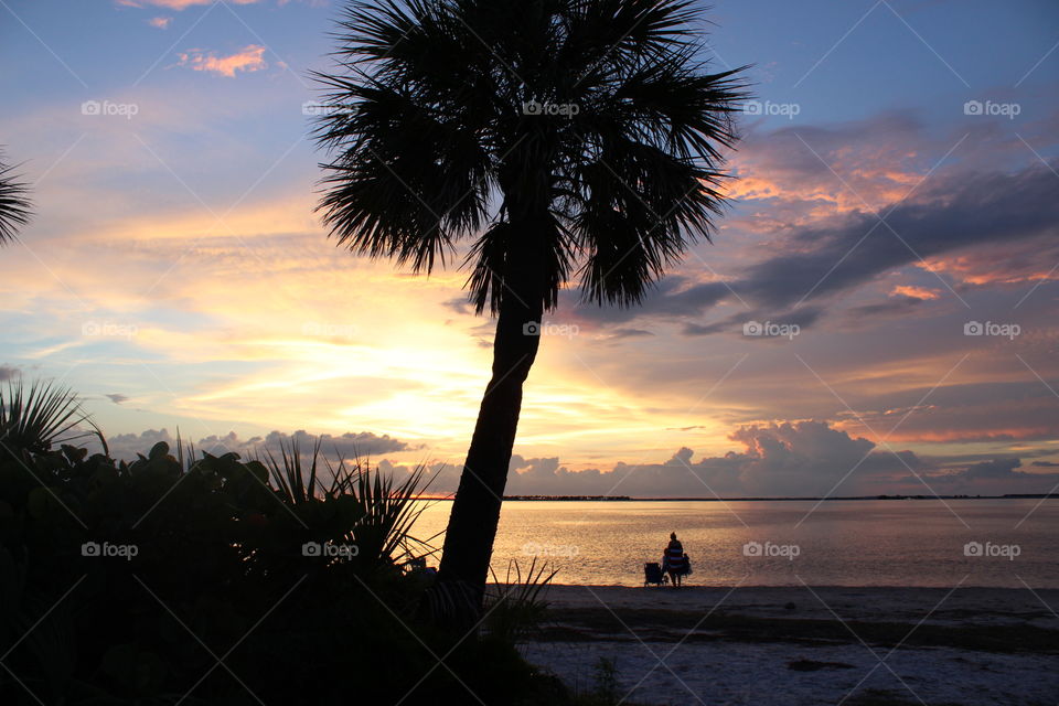 Sunset palm tree