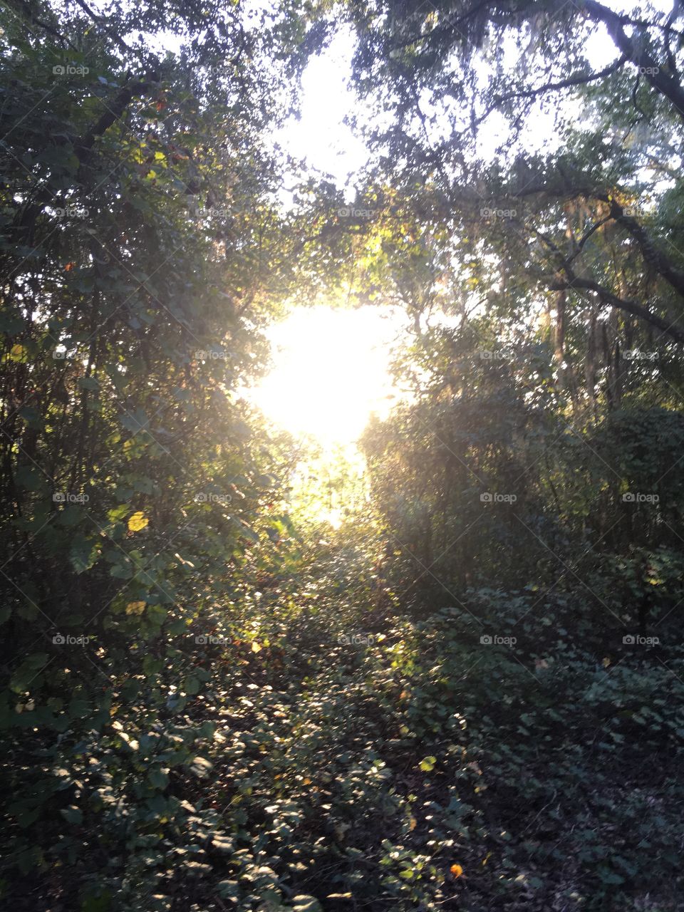 Beautiful scene while hiking 