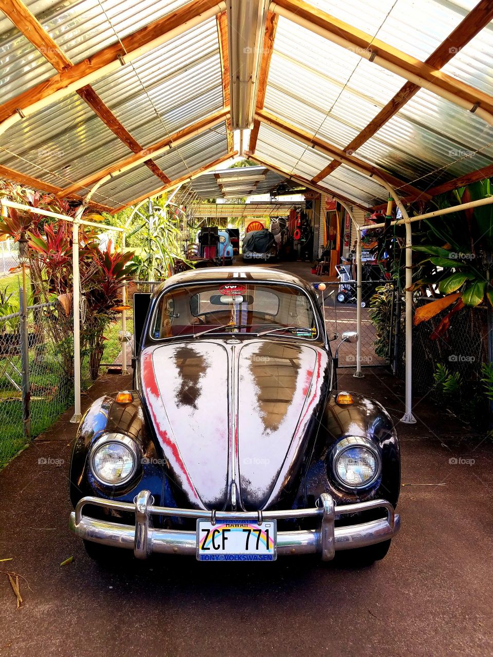 Volkswagon bug oval window, old school  with original paint and interior.  VW life on the Big Island.