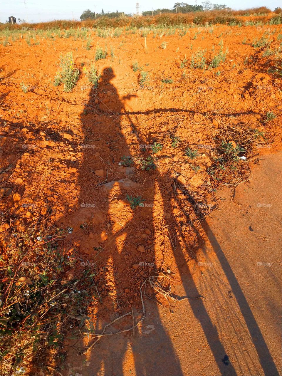 Selfie time!: riding an electric bike in the red soil field. selfie of my long shadow.