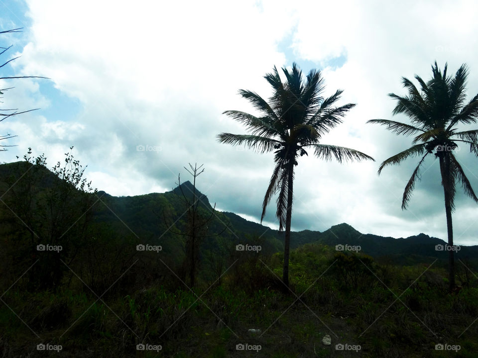 Volcanic Mountains. This is a picture of a moutain range on St. Lucia.