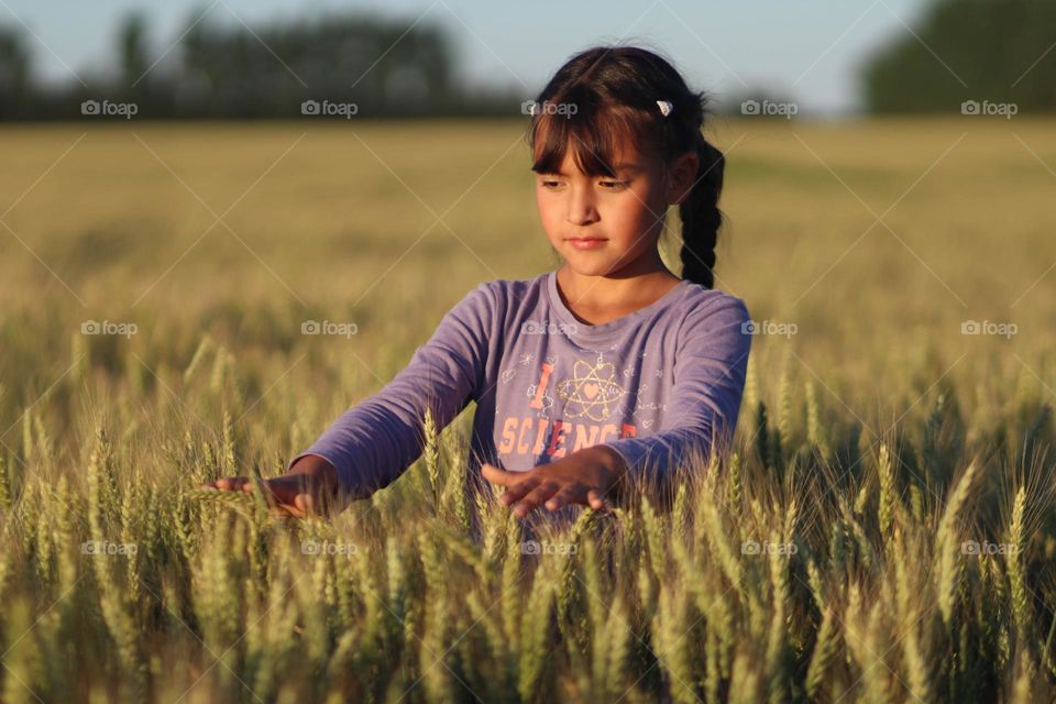 Little girl in a wheat field