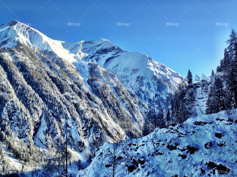 The Austrian Alps
