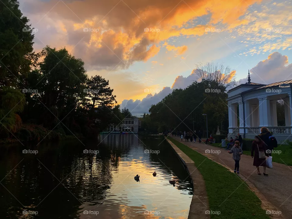 A walk in the park