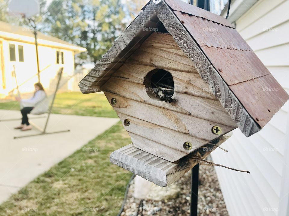 Darling closeup of diamond shaped brown wooden birdhouse with girl sitting in hammock in background. 