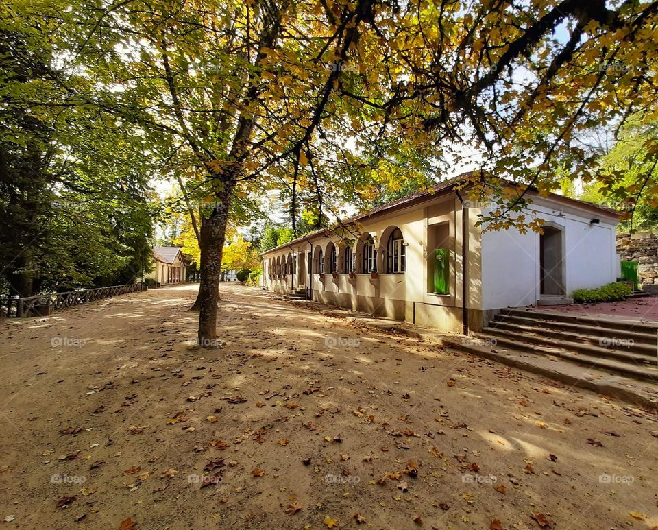 Autumn in Pedras Salgadas, Portugal