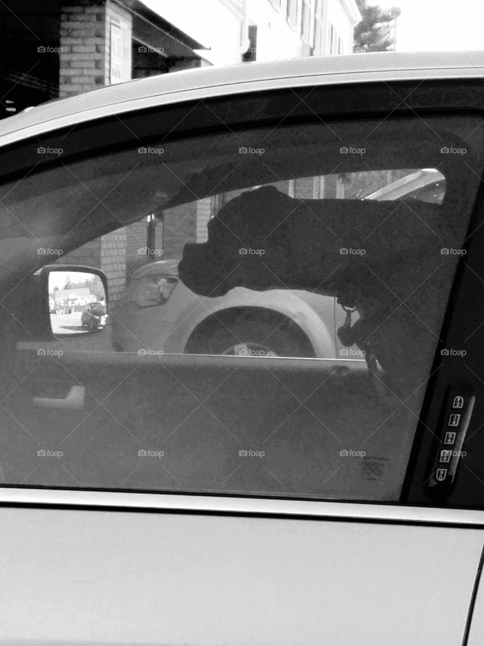 Dog silhouette in car, B&W photo.