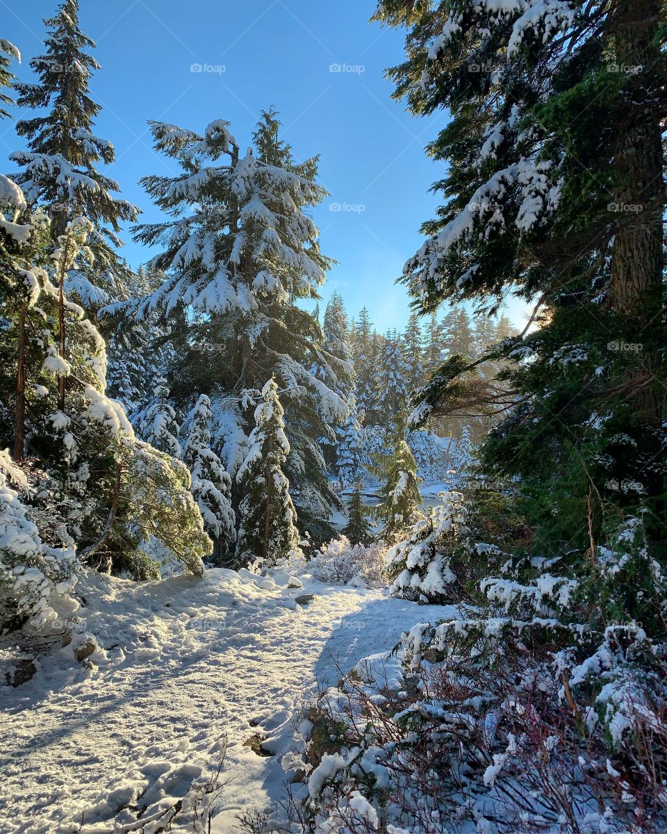 The most beautiful place ever