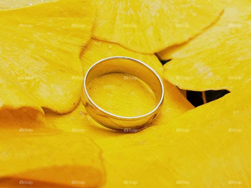 A wedding band rest in a bed of yellow leaves