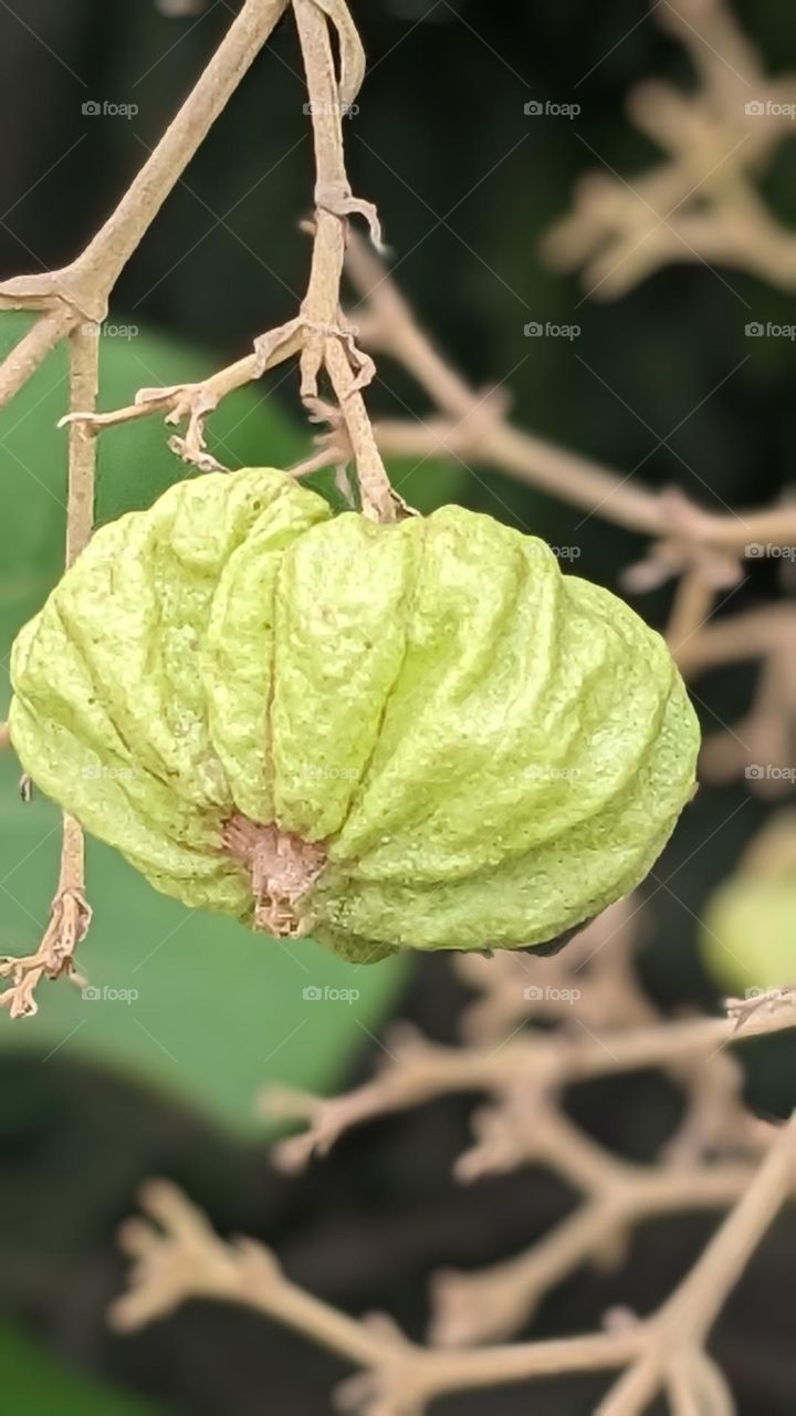 i don't know what is this.