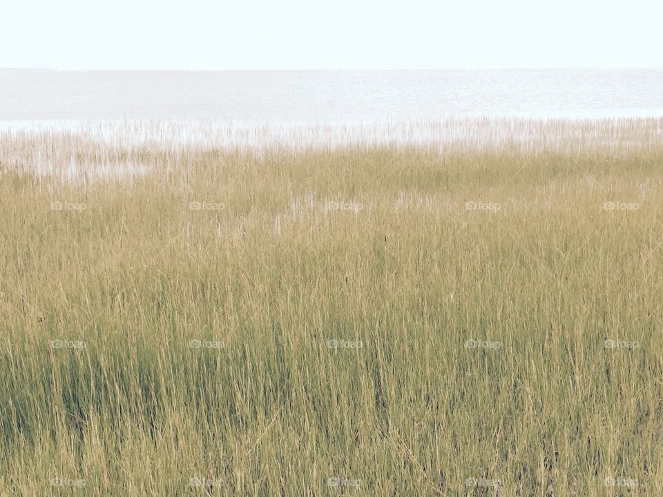 Water's edge, Cape Cod Bay 