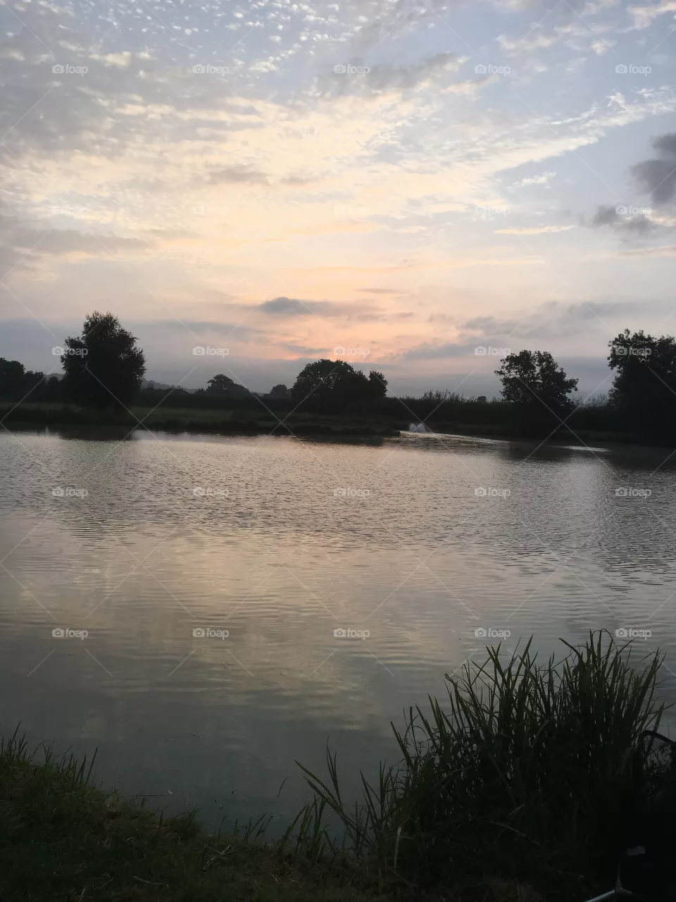 Reflections 