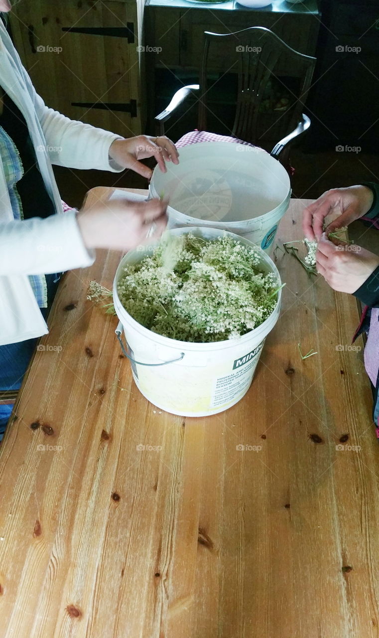 Making elderflower cordial in