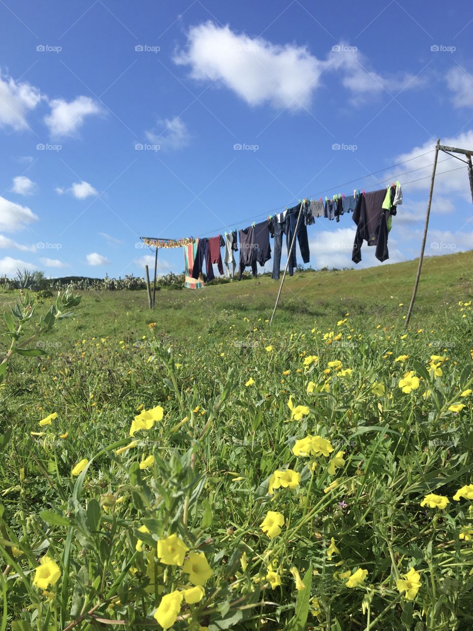 first laundry that dries in the sun and in open air