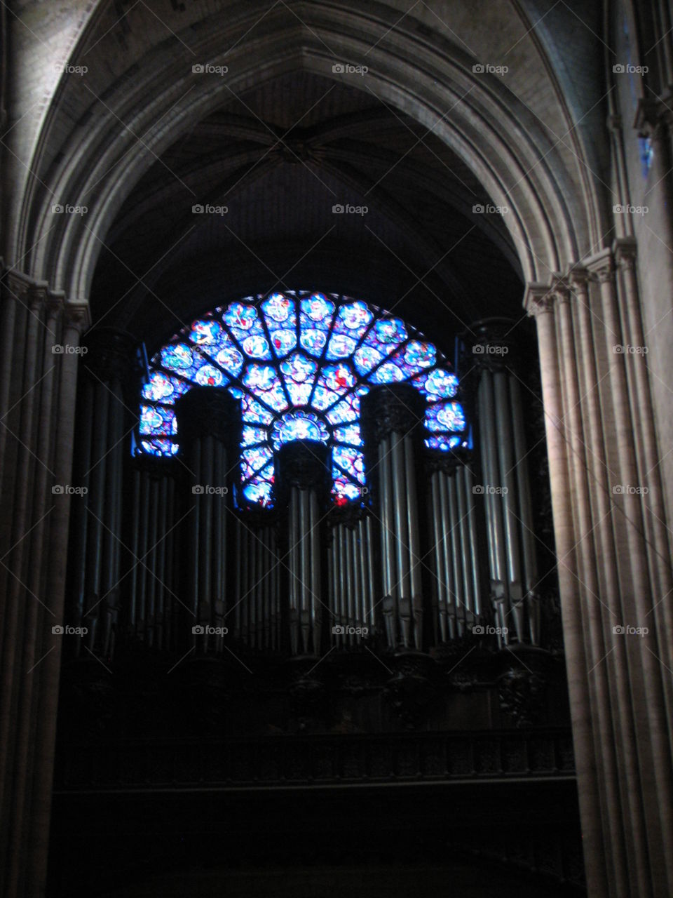 Pipe Organ. Notre Dame Cathedral 